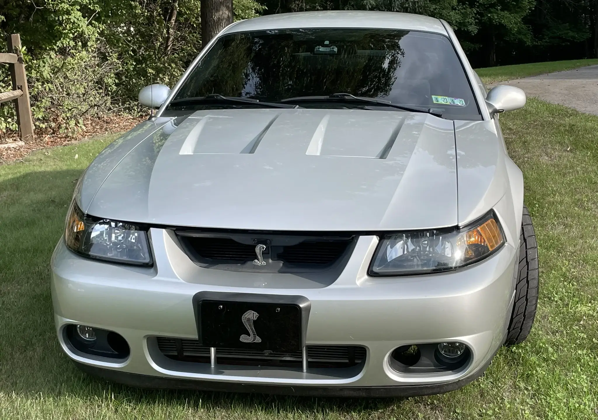2004 Ford Mustang SVT Cobra | PCARMARKET