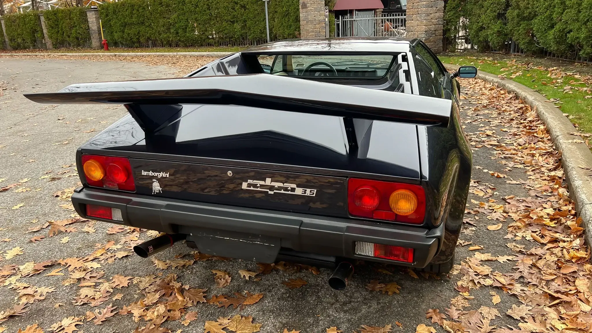 1985 Lamborghini Jalpa | PCARMARKET