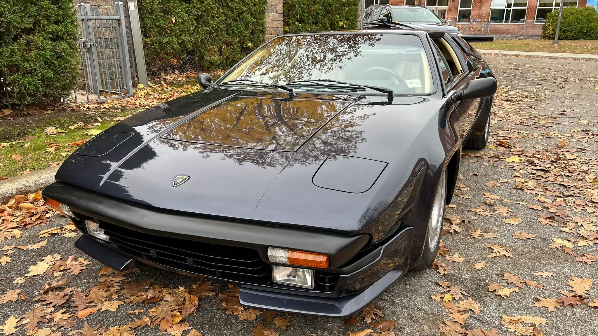 MP: 1985 Lamborghini Jalpa | PCARMARKET