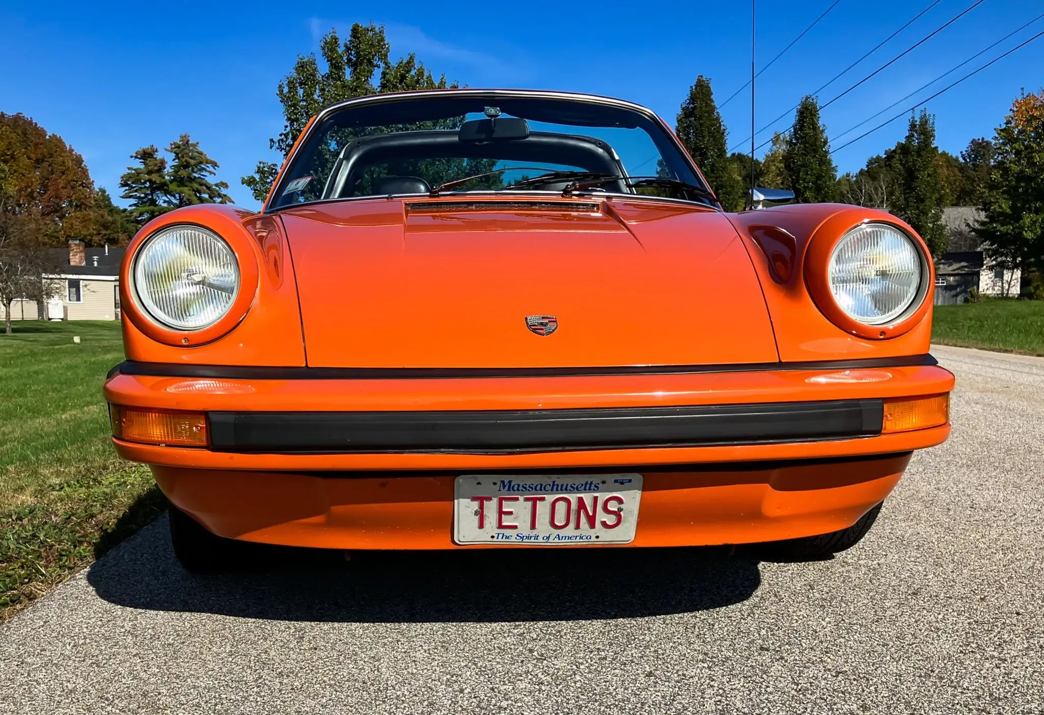 9114113093