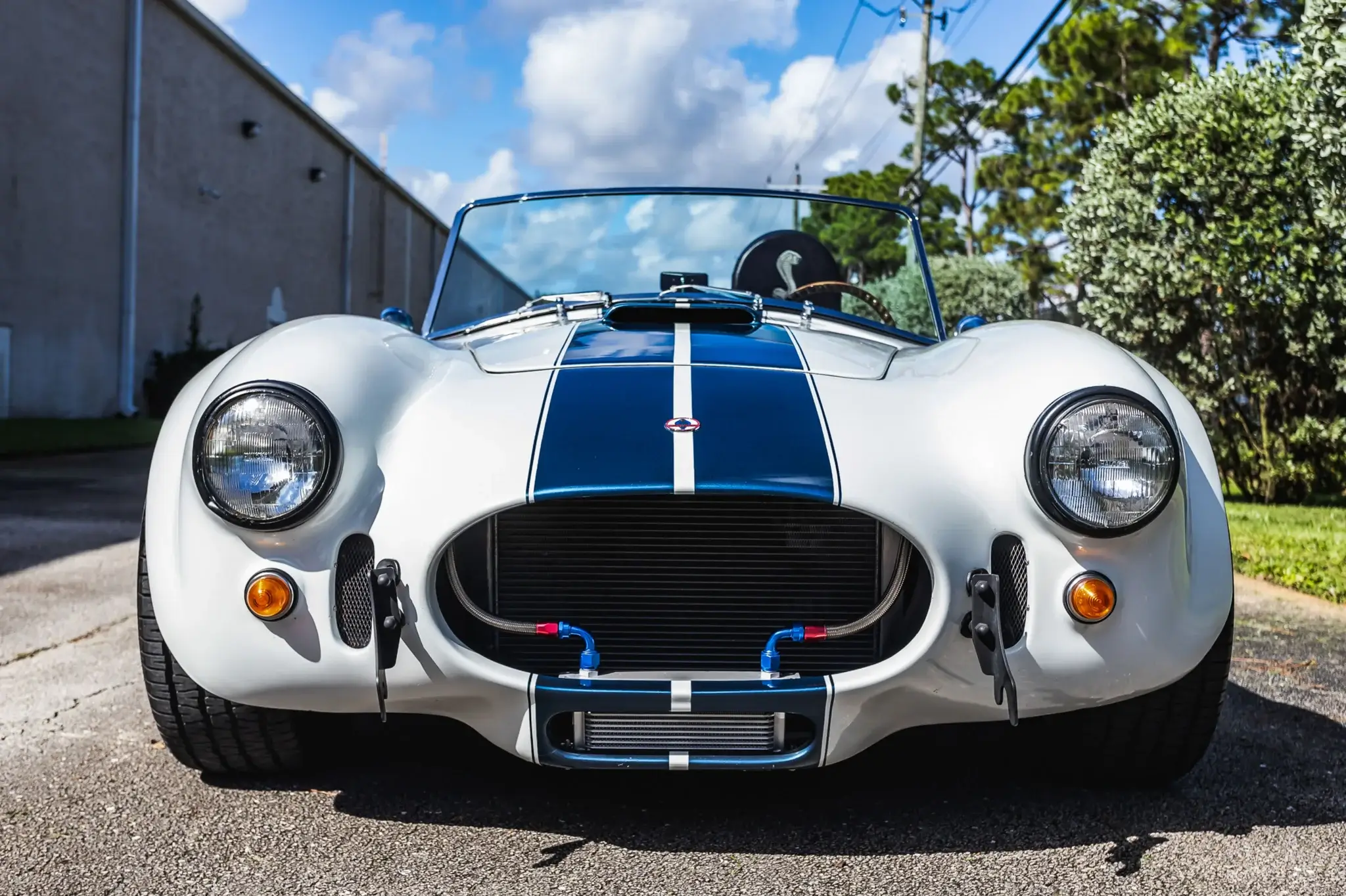 1990 Shell Valley Cobra Replica | PCARMARKET