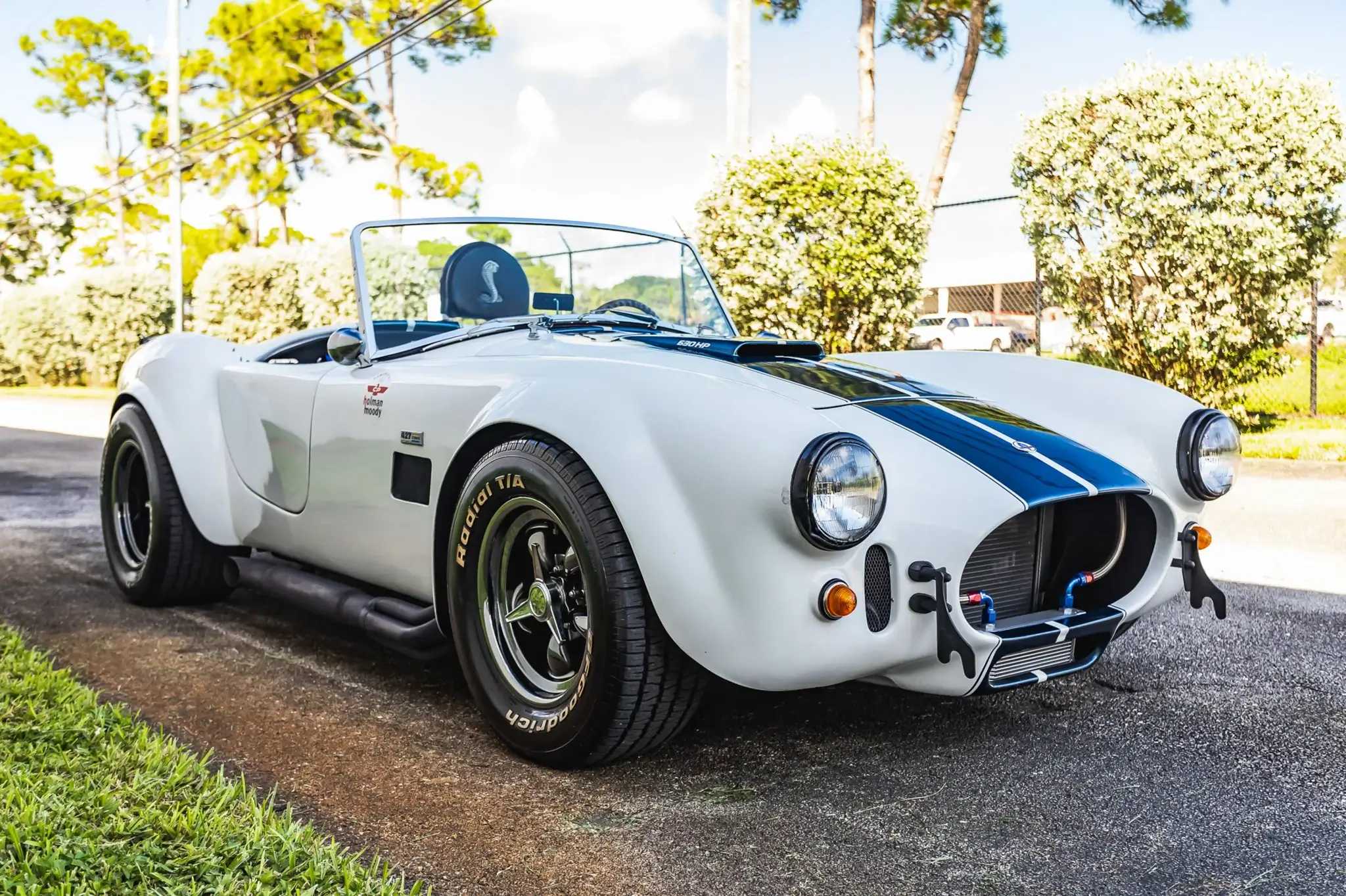 1990 Shell Valley Cobra Replica | PCARMARKET