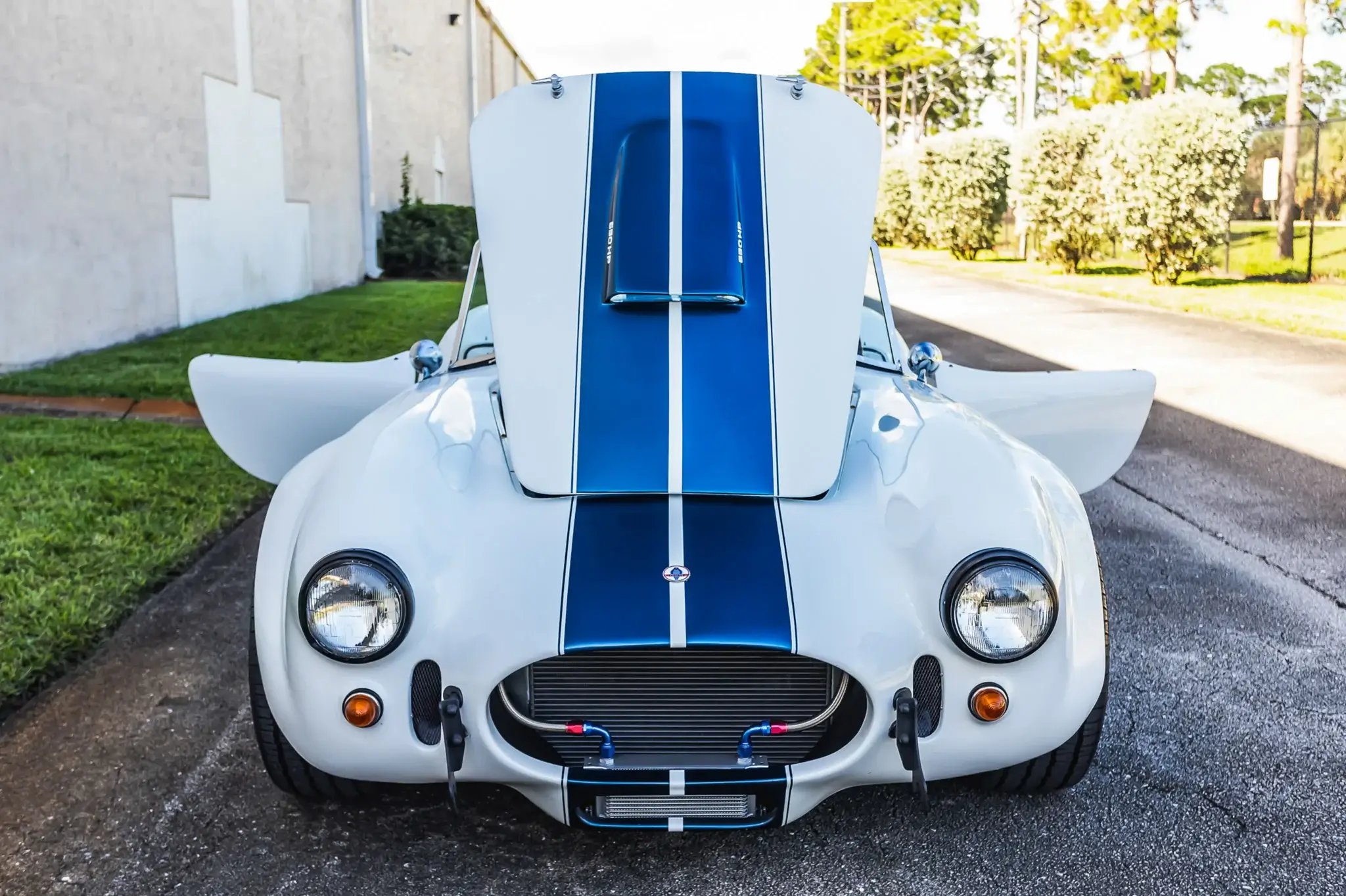 1990 Shell Valley Cobra Replica | PCARMARKET