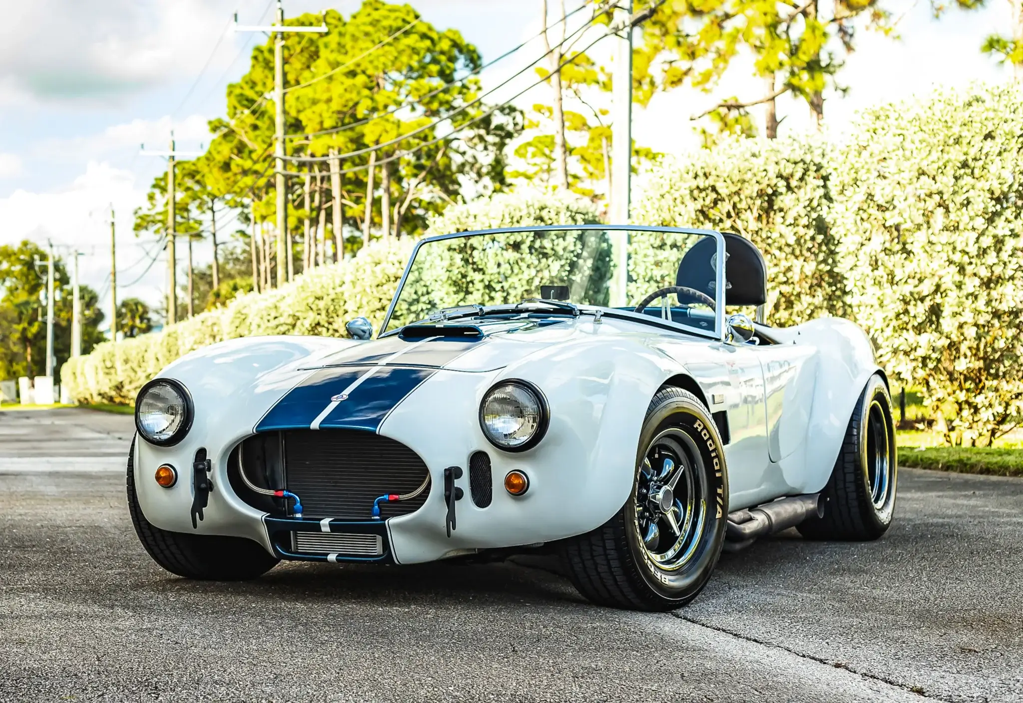 1990 Shell Valley Cobra Replica | PCARMARKET