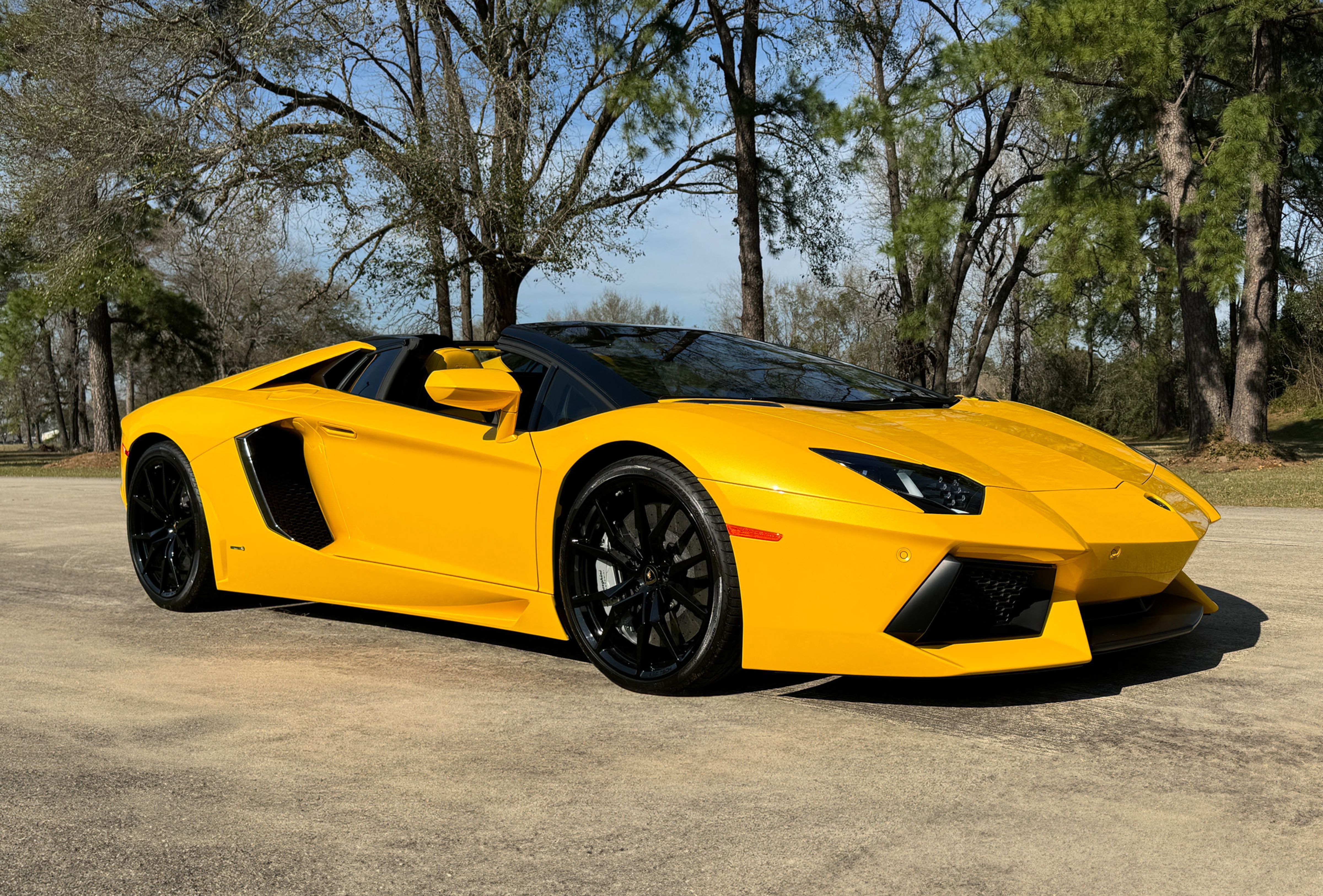 Lamborghini Aventador Roadster 2015 限定版 2015 Lamborghini Aventador LP 720-4 50th Anniversario Roadster 2D