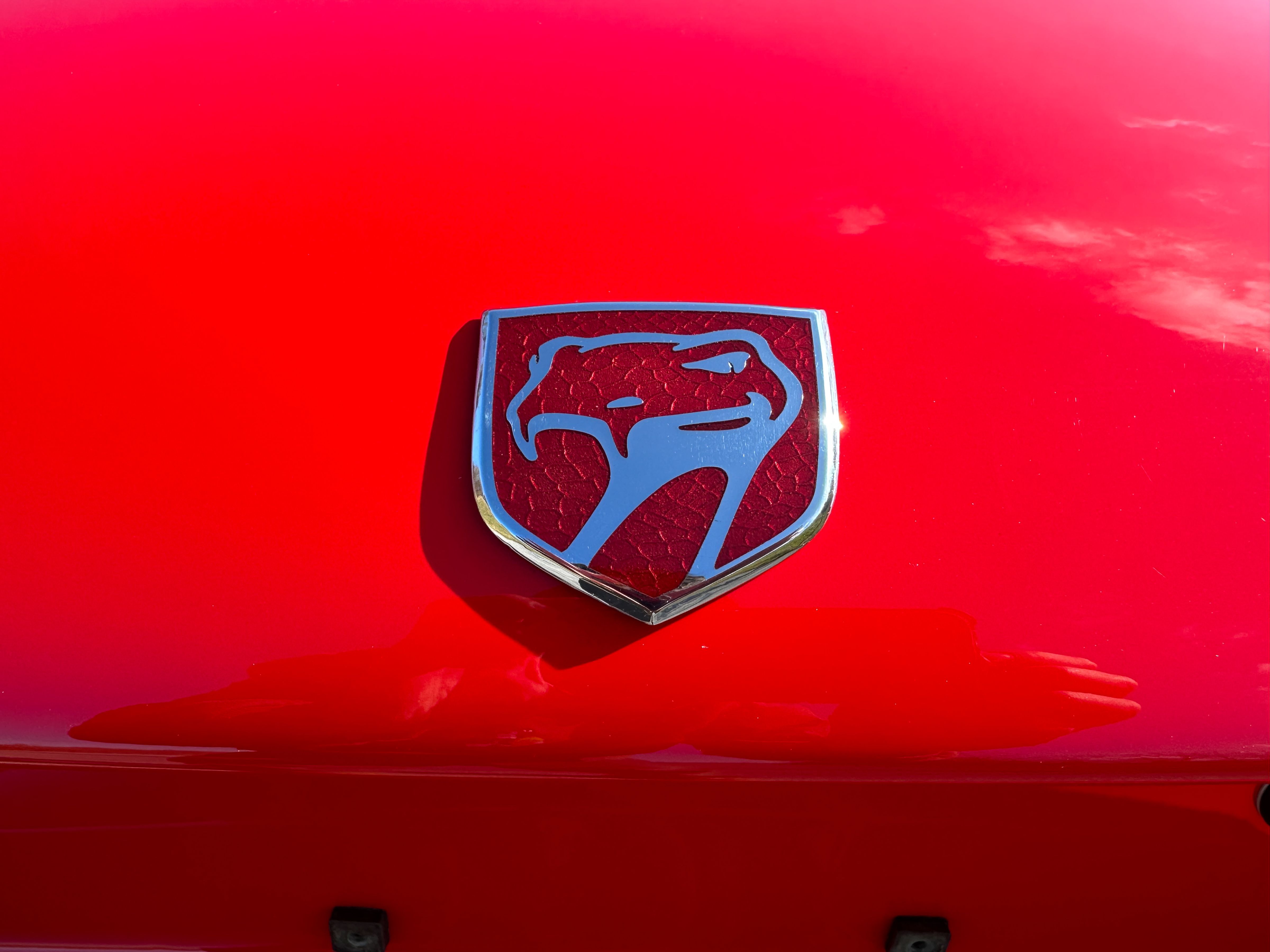 1993 Dodge Viper RT-10 | PCARMARKET, image size:4800x3600