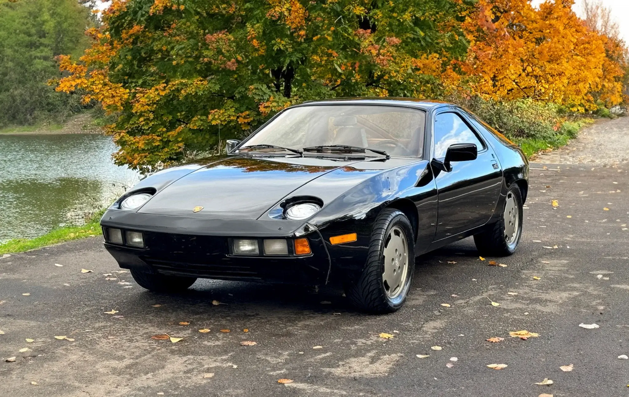 9289200806