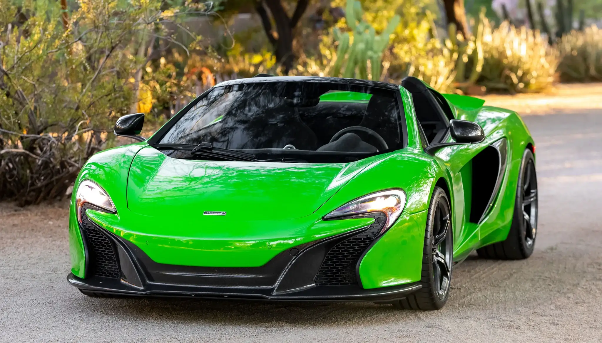マウル　サーベイランス MAX ダークグリーン MP: 2015 McLaren 650S Spider | PCARMARKET