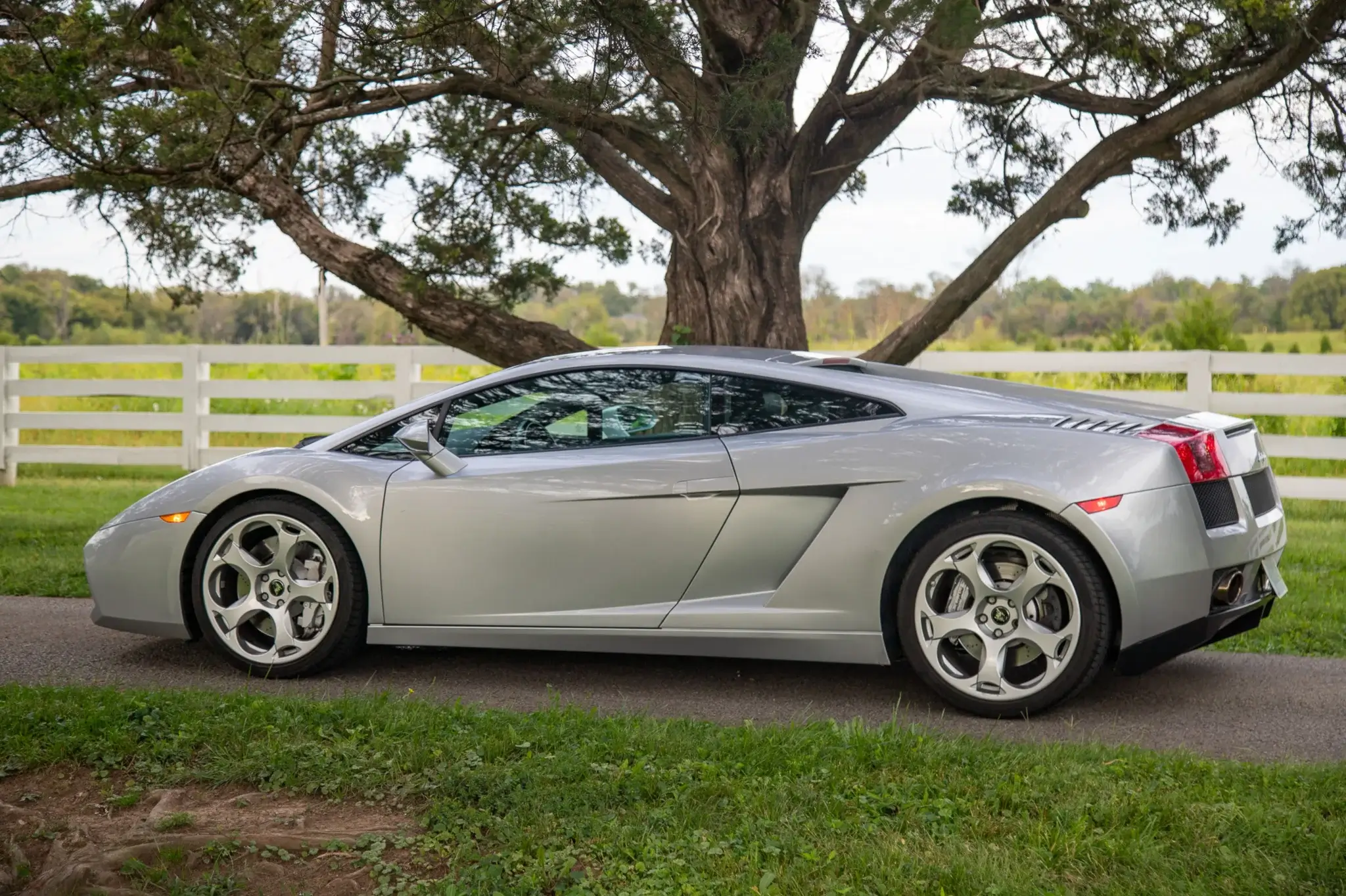 Gallardo スエード調 パンプス グレー ホワイト MP: 2004 Lamborghini Gallardo 6-Speed | PCARMARKET
