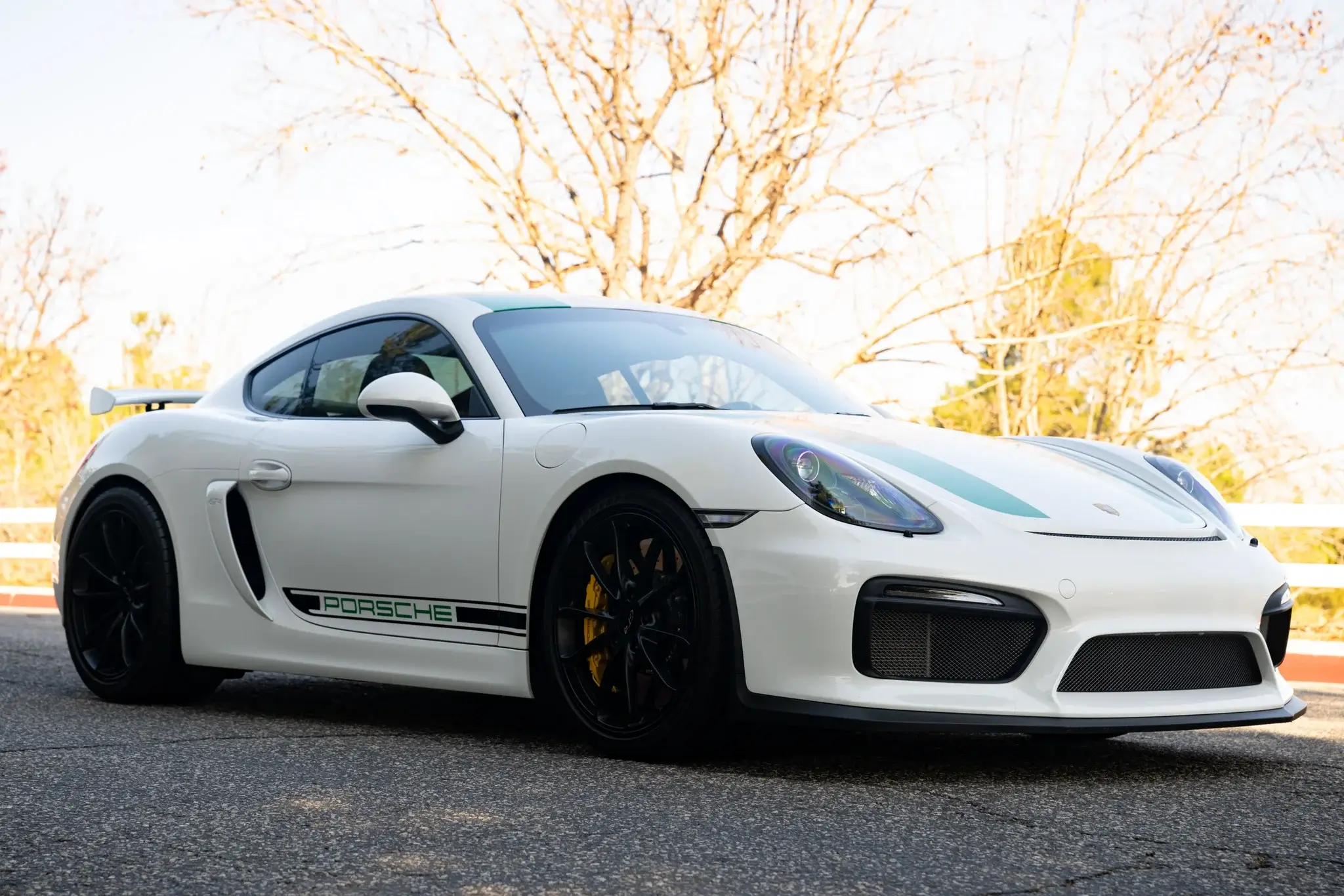   CAYMAN 3.0 ホワイト/グリーン 4.5 2016 Porsche Cayman GT4 | PCARMARKET