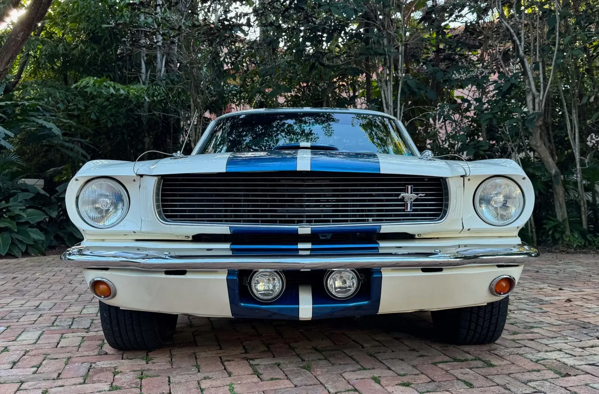 専用出品 MP: 1966 Mustang Shelby GT350 Tribute 5.0L | PCARMARKET