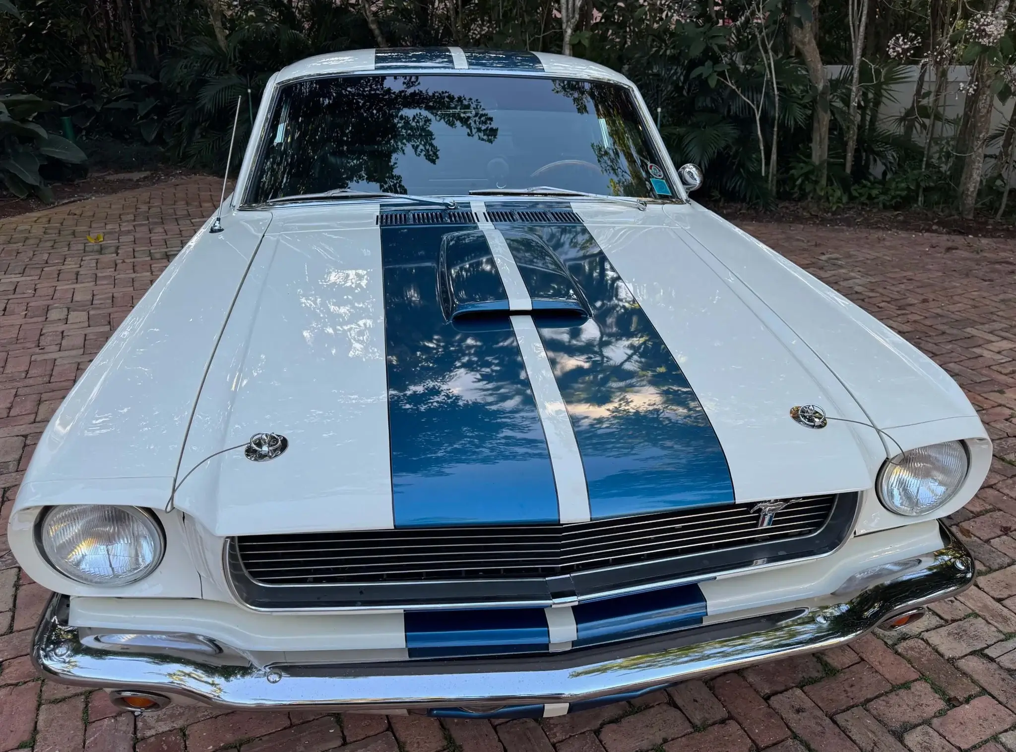 MP: 1966 Mustang Shelby GT350 Tribute 5.0L | PCARMARKET