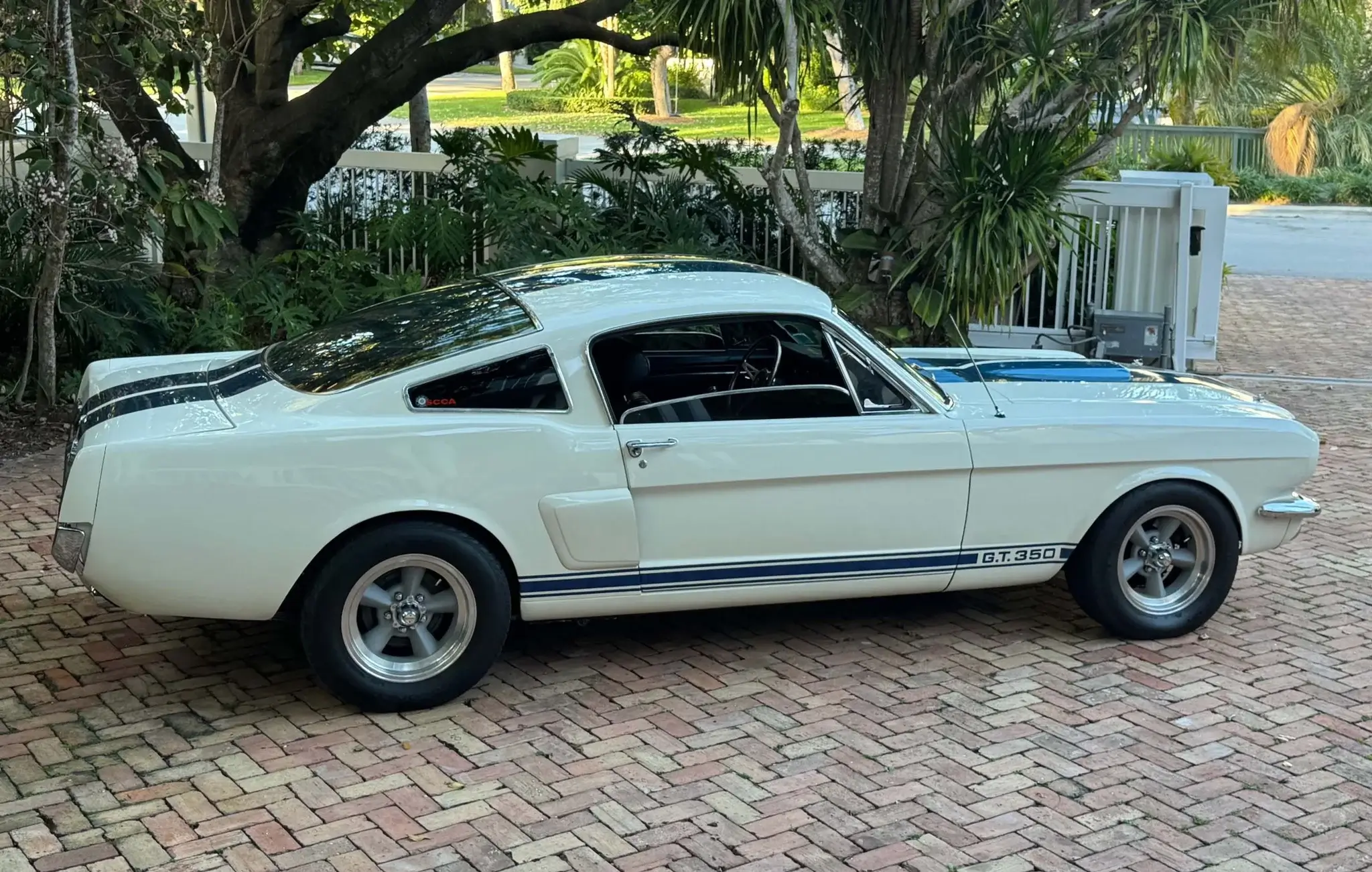 MP: 1966 Mustang Shelby GT350 Tribute 5.0L | PCARMARKET