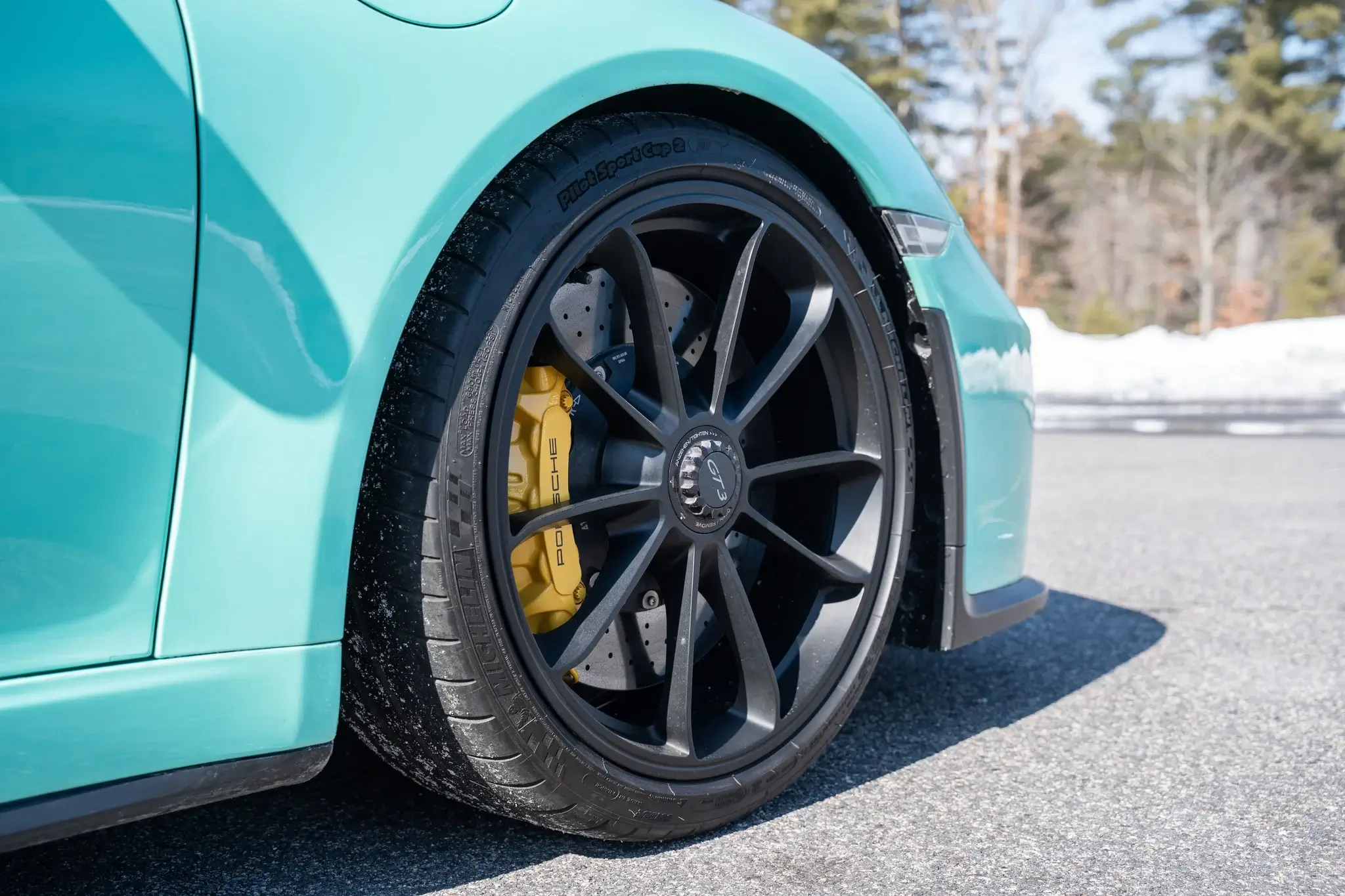 NO RESERVE PTS Mint Green 2018 Porsche 991.2 GT3 6-Speed | PCARMARKET