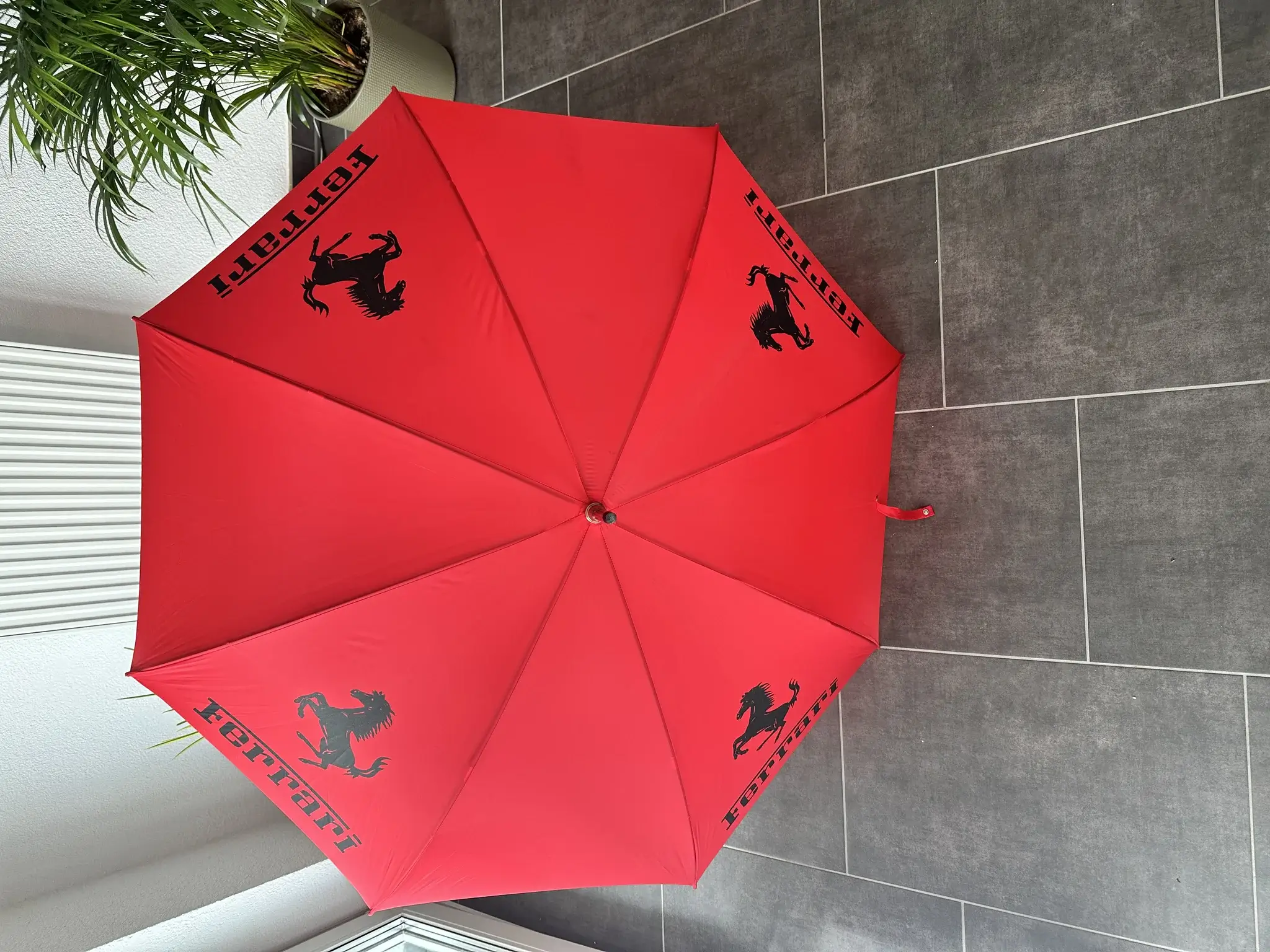 ferrari logo patio umbrellas for sale MP: Vintage 1980s Ferrari Umbrella
